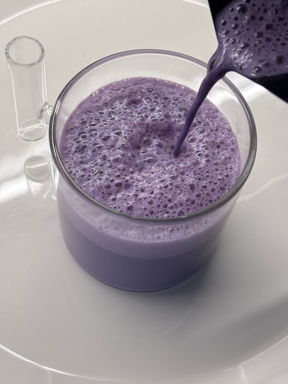 bilberry, blueberry, powder, Finnish berries