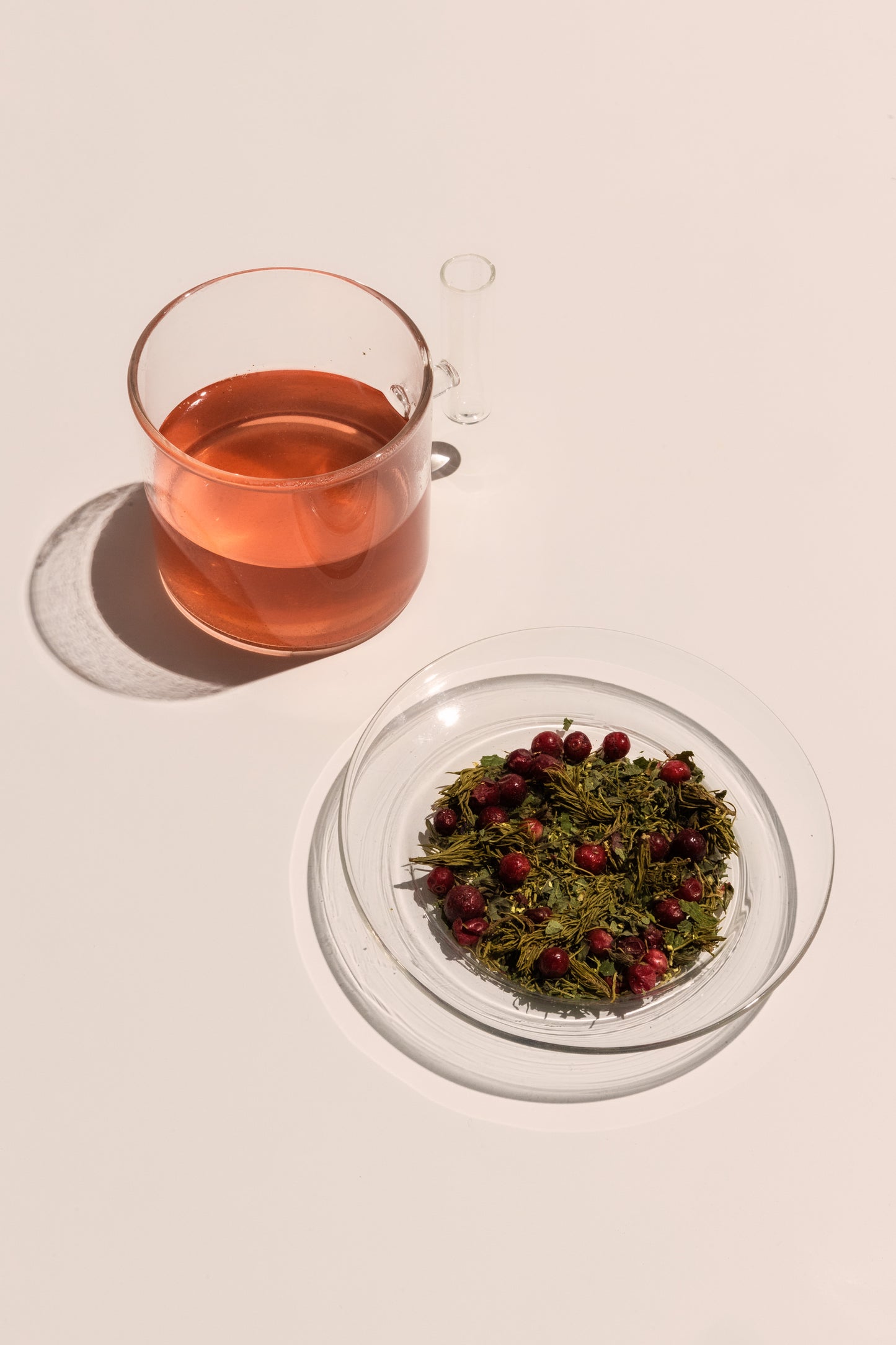 BOLD MOVE - Strength & Courage