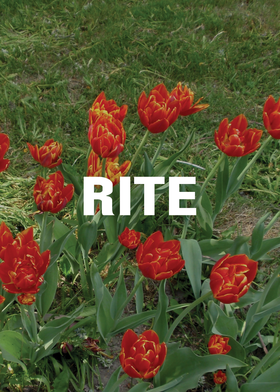RITE GIFT CARD